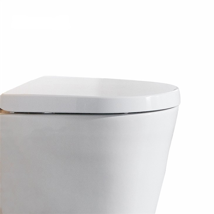 d shaped toilet seats